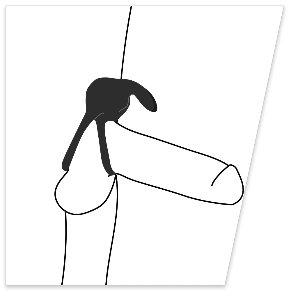 VeDO Thunder Bunny Vibrating Cock & Ball Ring - Image 3